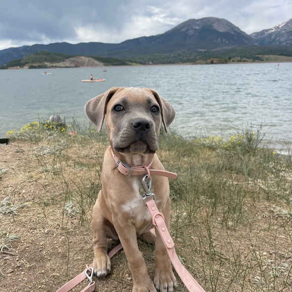 Meet My Family 🌲 - Picture 10 of 16